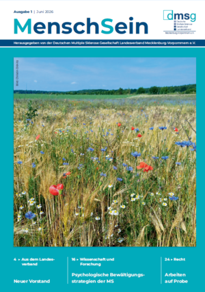 Eine Blumenwiese im Sommer.